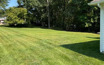 Photo of Ana M.'s yard after getting lawn care in Stroudsburg, PA