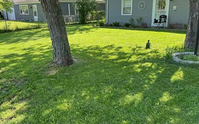 Photo of Sharonda M.'s yard after getting lawn care in Crete, IL