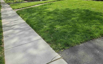 Photo of Donna F.'s yard after getting lawn care in Newton, NJ