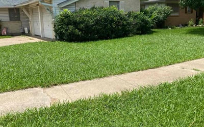 Photo of Fran H.'s yard after getting lawn care in Norristown, PA