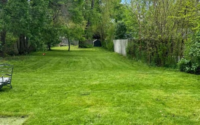Photo of Lacey R.'s yard after getting lawn care in Wyandotte, MI