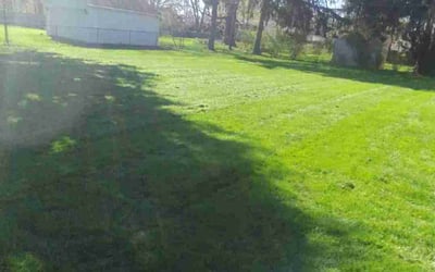 Photo of Larry S.'s yard after getting lawn care in Newark, NY