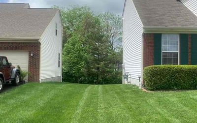 Photo of Judy T.'s yard after getting lawn care in South Holland, IL