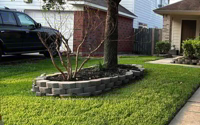 Photo of Andrea B.'s yard after getting lawn care in Albany, NY