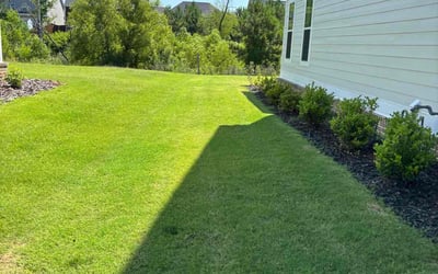 Photo of David R.'s yard after getting lawn care in Albrightsville, PA
