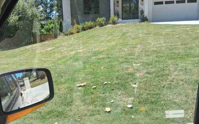 Photo of Farida K.'s yard after getting lawn care in Okemos, MI