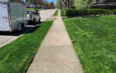 Photo of Sarah P.'s yard after getting lawn care in Grandville, MI