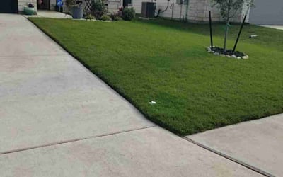Photo of Danielle T.'s yard after getting lawn care in Seguin, TX