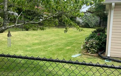 Photo of Kristin B.'s yard after getting lawn care in Cedar Park, TX