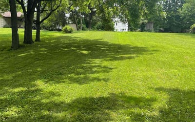 Photo of Tariq A.'s yard after getting lawn care in Springfield, VA