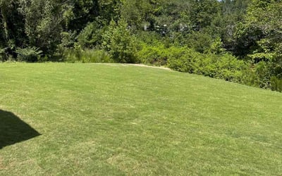 Photo of Rose G.'s yard after getting lawn care in Cumming, GA