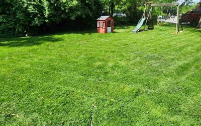 Photo of Michael D.'s yard after getting lawn care in Shawnee, KS