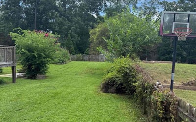 Photo of Mario C.'s yard after getting lawn care in Beaumont, TX