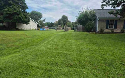 Photo of Richard B.'s yard after getting lawn care in Panama City Beach, FL