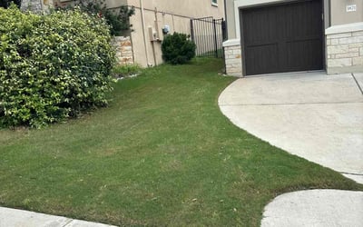 Photo of Emily B.'s yard after getting lawn care in Burnsville, MN