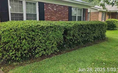 Photo of Keenen G.'s yard after getting lawn care in Bridgeport, CT