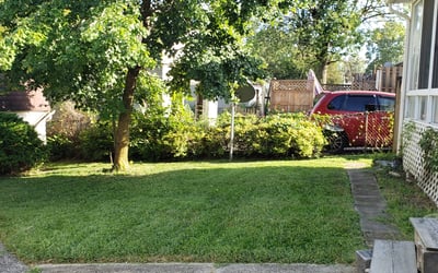 Photo of Tysha M.'s yard after getting lawn care in Wildwood, NJ