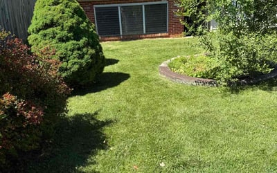 Photo of Gustavo A.'s yard after getting lawn care in Saint Paul, MN