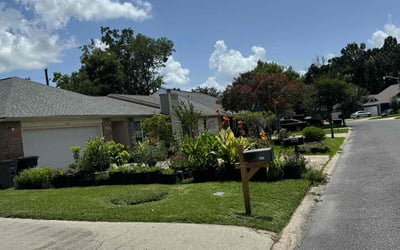 Photo of Alicia B.'s yard after getting tree care in Columbia, MO