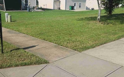 Photo of Chad C.'s yard after getting lawn care in Brewster, NY