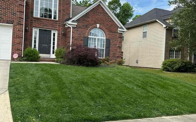 Photo of Sandra G.'s yard after getting lawn care in Mount Pleasant, NC