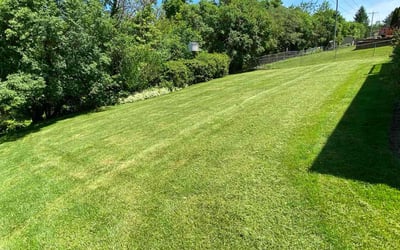 Photo of Debra F.'s yard after getting lawn care in Camillus, NY