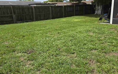 Photo of Philip P.'s yard after getting lawn care in Holiday, FL