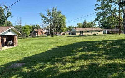 Photo of Darlene L.'s yard after getting lawn care in Taunton, MA