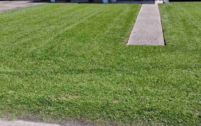 Photo of Michael N.'s yard after getting lawn care in Hilton Head Island, SC