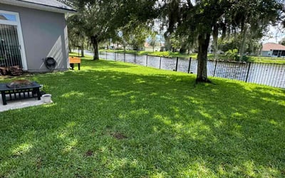 Photo of Dolleen W.'s yard after getting lawn care in Waynesville, NC