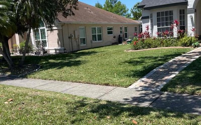 Photo of Tom K.'s yard after getting lawn care in Hunters Creek, FL
