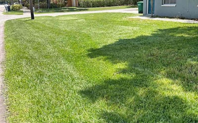 Photo of Jimmy V.'s yard after getting lawn care in Belle Glade, FL