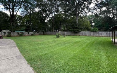 Photo of Thong N.'s yard after getting lawn care in Port St. Lucie, FL