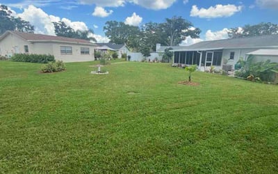 Photo of Claudia F.'s yard after getting lawn care in Rockwall, TX