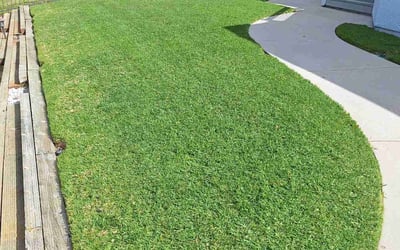Photo of Alicia G.'s yard after getting lawn care in Camarillo, CA