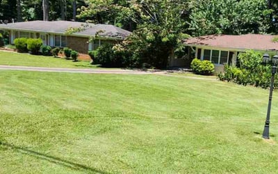 Photo of Dave N.'s yard after getting lawn care in Decatur, IL