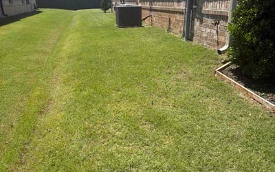 Photo of Adam R.'s yard after getting lawn care in Atlantic Beach, FL