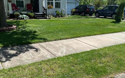 Photo of Ron F.'s yard after getting lawn care in South Haven, MI
