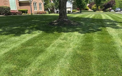 Photo of Jeanne H.'s yard after getting lawn care in Burke, VA