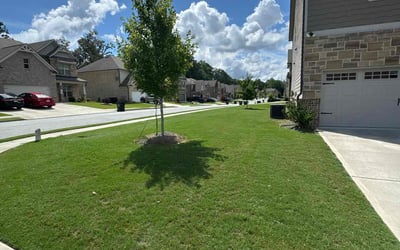 Photo of Jerry B.'s yard after getting lawn care in Buford, GA