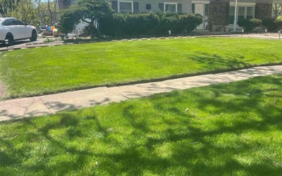 Photo of Gayle H.'s yard after getting lawn care in Naperville, IL