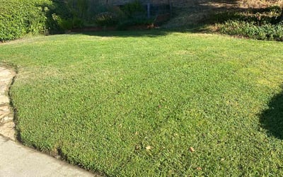 Photo of Sue M.'s yard after getting lawn care in Fair Oaks, CA