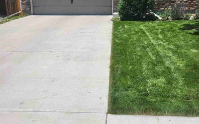 Photo of Shanika B.'s yard after getting lawn care in Taylor, MI