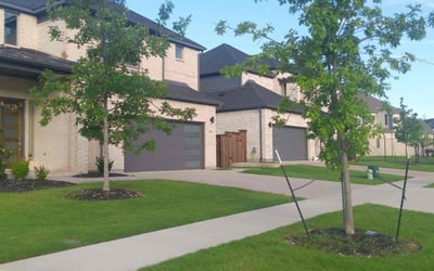 Photo of Emili W.'s yard after getting lawn care in Royse City, TX