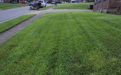 Photo of DJ T.'s yard after getting lawn care in Hamilton, OH