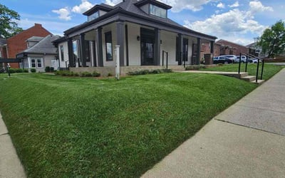 Photo of Susan P.'s yard after getting lawn care in Burns, TN