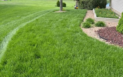 Photo of Jazzman S.'s yard after getting lawn care in Fort Wayne, IN