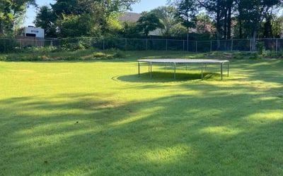 Photo of Latoshia E.'s yard after getting lawn care in Edgewater, FL
