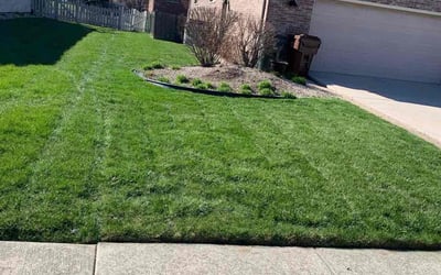Photo of Cynthia W.'s yard after getting lawn care in Tinley Park, IL