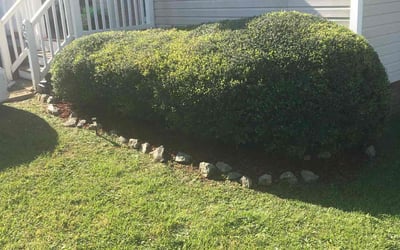 Photo of Dan G.'s yard after getting lawn care in Lansdale, PA